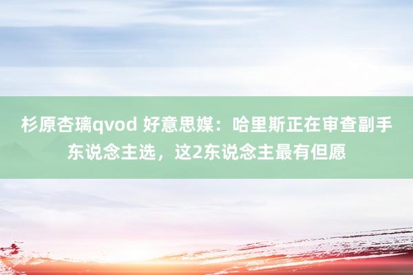 杉原杏璃qvod 好意思媒：哈里斯正在审查副手东说念主选，这2东说念主最有但愿