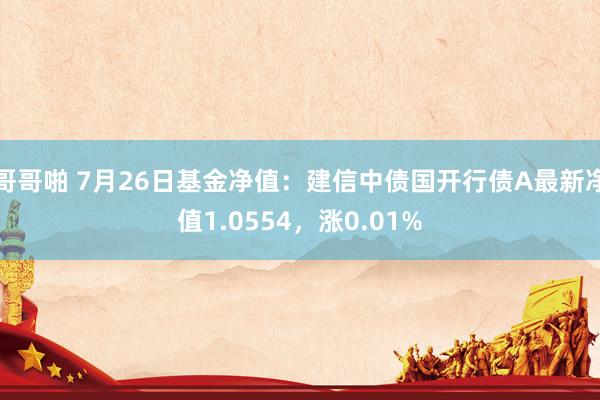 哥哥啪 7月26日基金净值：建信中债国开行债A最新净值1.0554，涨0.01%