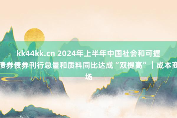 kk44kk.cn 2024年上半年中国社会和可握续债券债券刊行总量和质料同比达成“双提高”｜成本商场