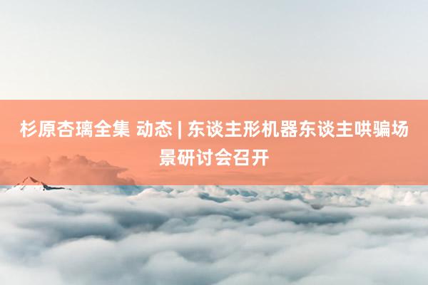 杉原杏璃全集 动态 | 东谈主形机器东谈主哄骗场景研讨会召开