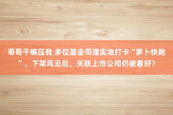 哥哥干嘛压我 多位基金司理实地打卡“萝卜快跑”，下架风云后，关联上市公司仍被看好？