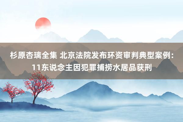 杉原杏璃全集 北京法院发布环资审判典型案例：11东说念主因犯罪捕捞水居品获刑