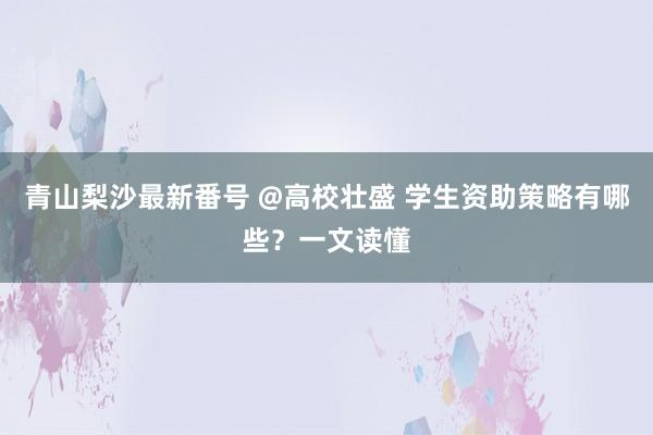 青山梨沙最新番号 @高校壮盛 学生资助策略有哪些？一文读懂