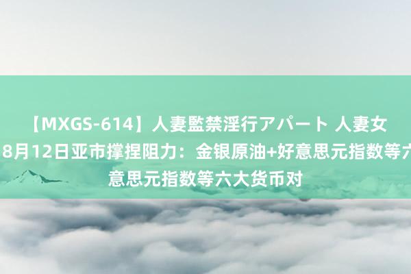 【MXGS-614】人妻監禁淫行アパート 人妻女雀士 雪菜 8月12日亚市撑捏阻力：金银原油+好意思元指数等六大货币对