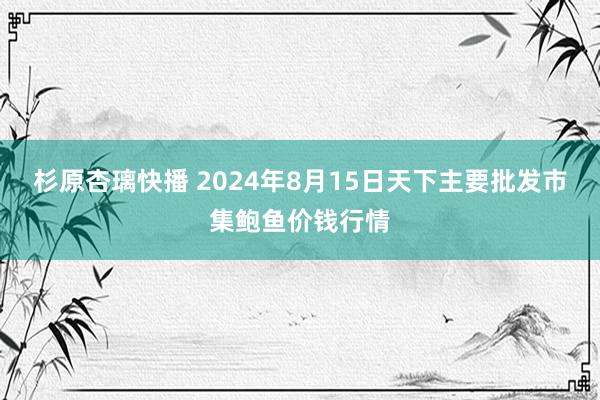 杉原杏璃快播 2024年8月15日天下主要批发市集鲍鱼价钱行情