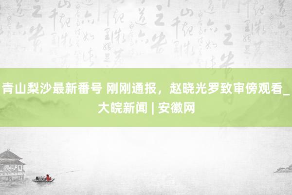 青山梨沙最新番号 刚刚通报，赵晓光罗致审傍观看_大皖新闻 | 安徽网