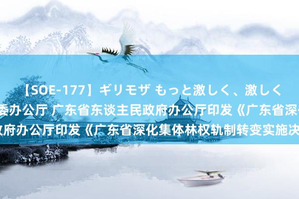 【SOE-177】ギリモザ もっと激しく、激しく突いて Ami 中共广东省委办公厅 广东省东谈主民政府办公厅印发《广东省深化集体林权轨制转变实施决策》