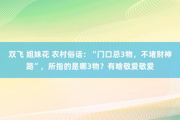 双飞 姐妹花 农村俗话：“门口忌3物，不堵财神路”，所指的是哪3物？有啥敬爱敬爱