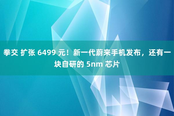 拳交 扩张 6499 元！新一代蔚来手机发布，还有一块自研的 5nm 芯片