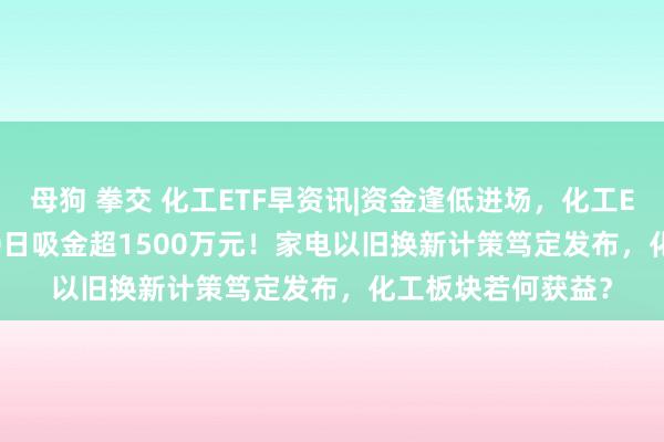 母狗 拳交 化工ETF早资讯|资金逢低进场，化工ETF（516020）10日吸金超1500万元！家电以旧换新计策笃定发布，化工板块若何获益？