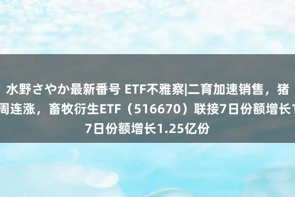 水野さやか最新番号 ETF不雅察|二育加速销售，猪价停步7周连涨，畜牧衍生ETF（516670）联接7日份额增长1.25亿份