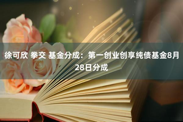 徐可欣 拳交 基金分成：第一创业创享纯债基金8月28日分成