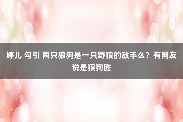 婷儿 勾引 两只狼狗是一只野狼的敌手么？有网友说是狼狗胜