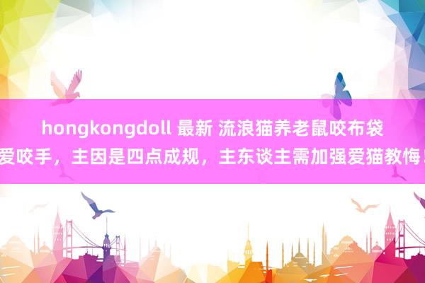 hongkongdoll 最新 流浪猫养老鼠咬布袋爱咬手，主因是四点成规，主东谈主需加强爱猫教悔！