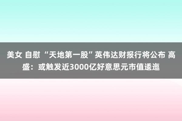 美女 自慰 “天地第一股”英伟达财报行将公布 高盛：或触发近3000亿好意思元市值逶迤