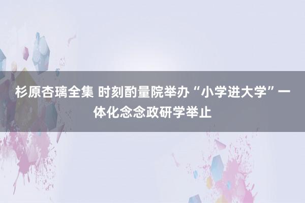 杉原杏璃全集 时刻酌量院举办“小学进大学”一体化念念政研学举止